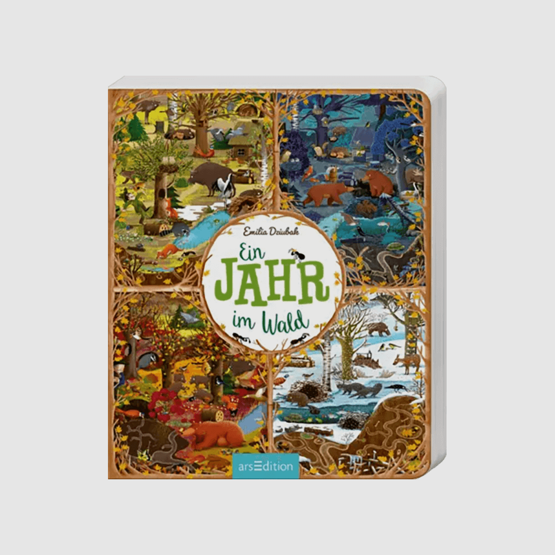 Kinderbuch "Ein Jahr im Wald"