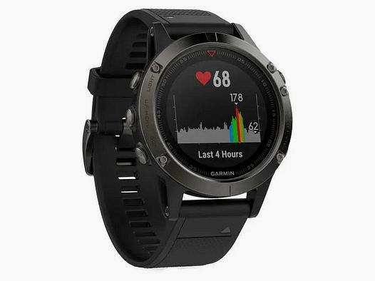Garmin Garmin Fenix 5 grau