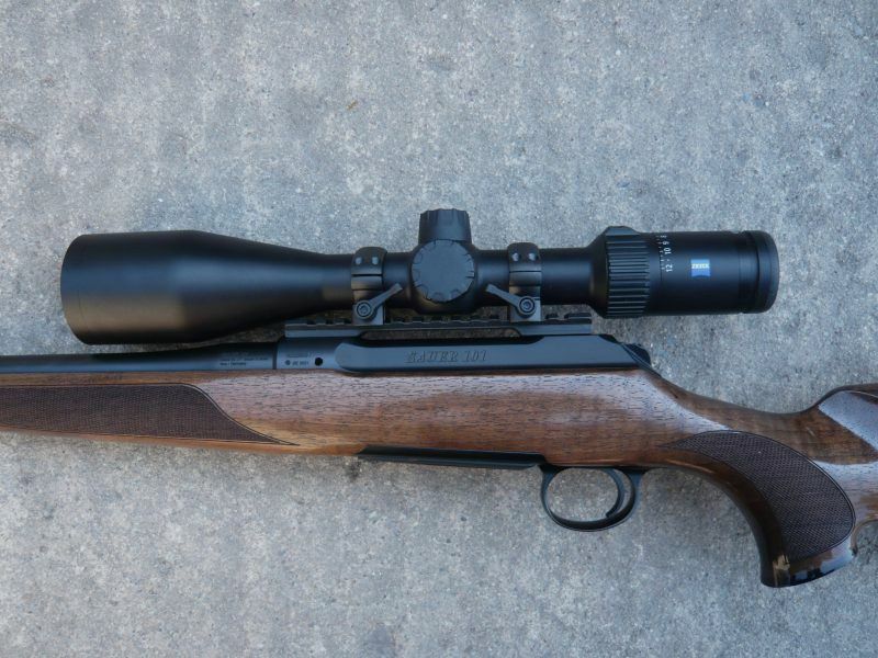 Sauer 101