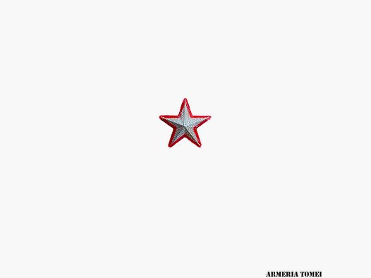 STELLA METALLO GRADO ARGENTO BORDATA ROSSA
