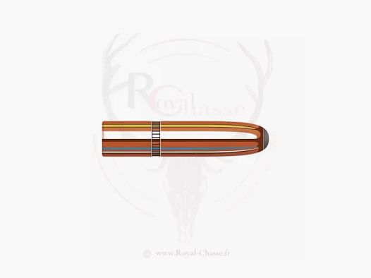 100 ogives Cal.6.5mm D.264 160Grs INTERLOCK RN HORNADY
