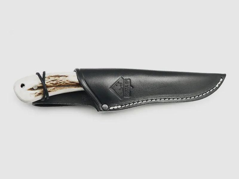 PUMA IP élan, cerf