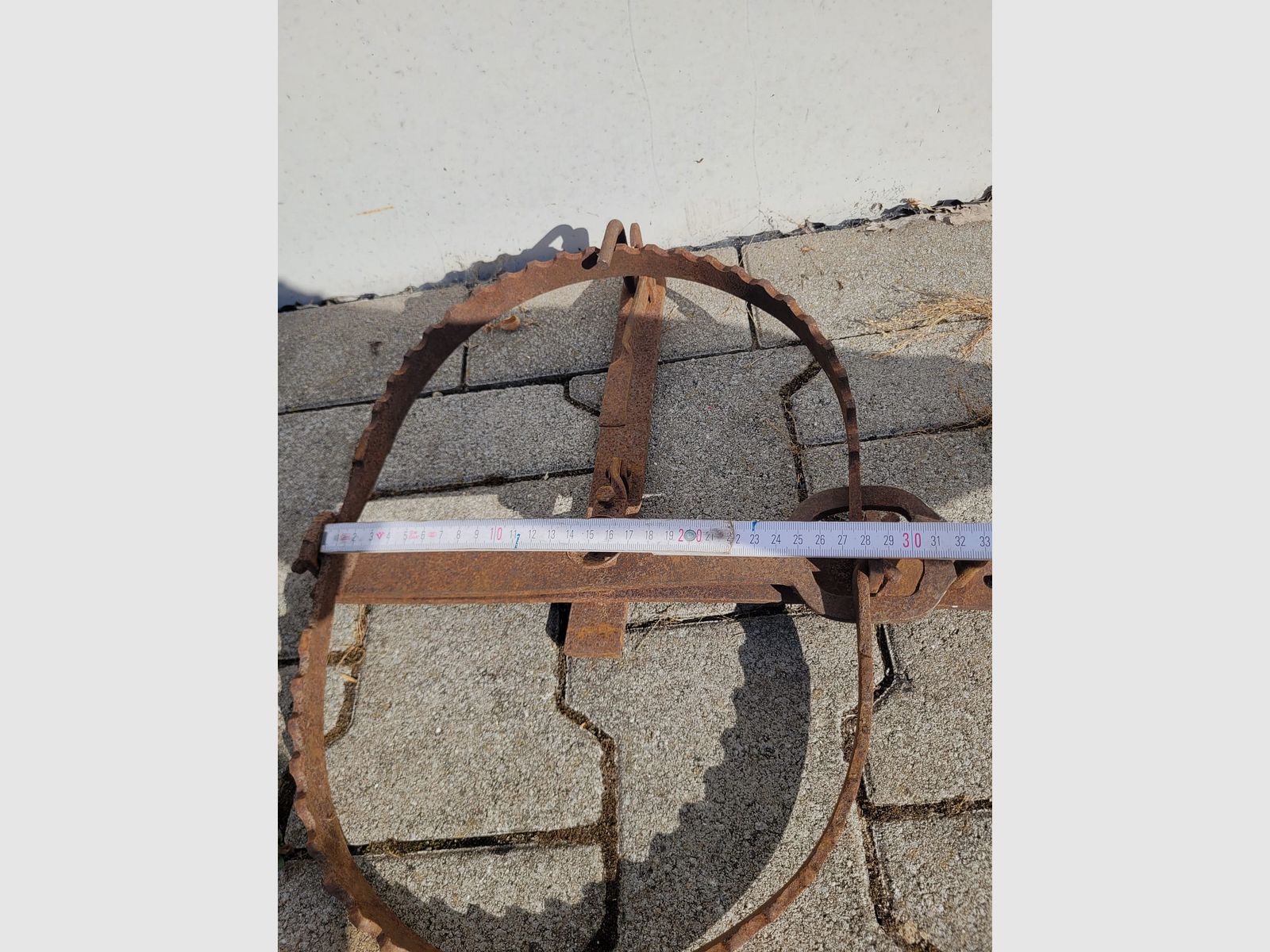 Bear trap decoration 48cm