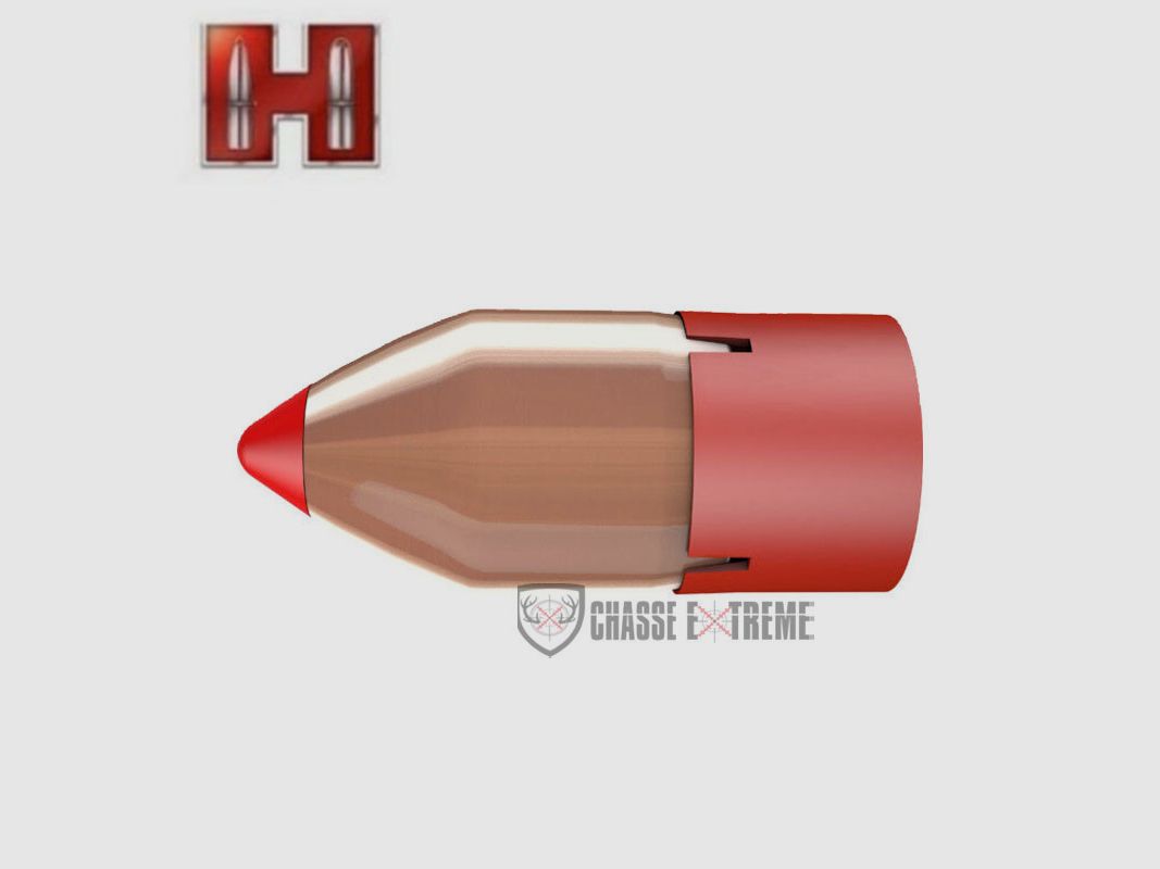 20 Geschosse HORNADY Bore Driver Kal. 50 .499 290Gr FTX, Bild 2 von 2