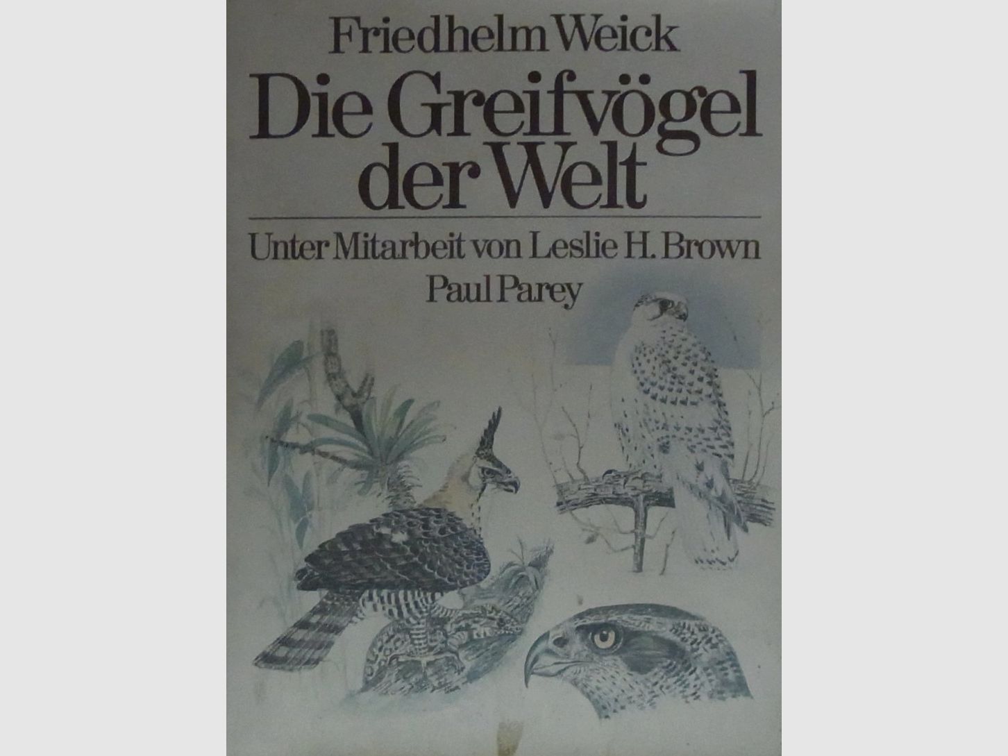 Die Greifvögel der Welt