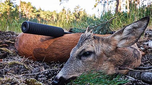 Schalldämpfer für die Jagd