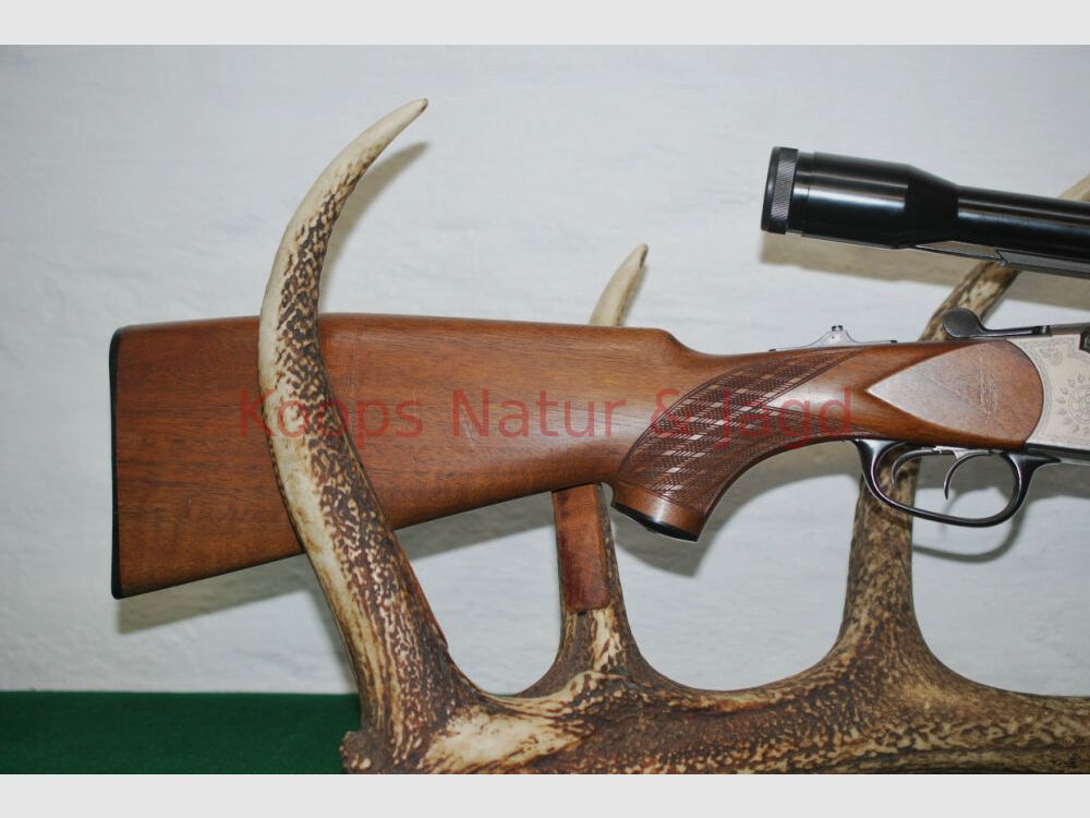 Blaser ES 63