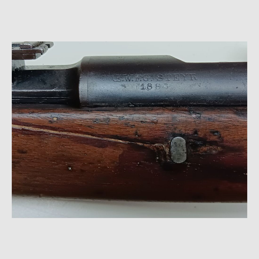 OE.W.F.G. Steyr M. 1886 - Kropatschek
