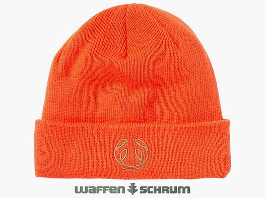 Chevalier Beanie Bristol Infinium Pine Green