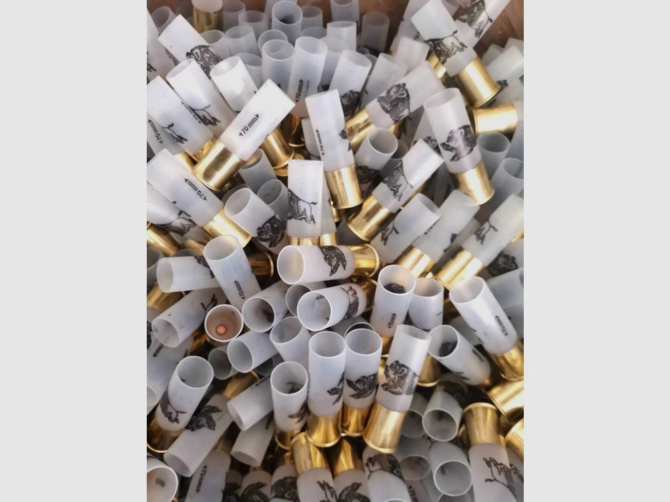 Bossoli Fiocchi Corazzati Cal.12 T5 H70 616 CINGHIALE Trasparente Non Svasato Conf. da 200 pz., immagine 1 di 2