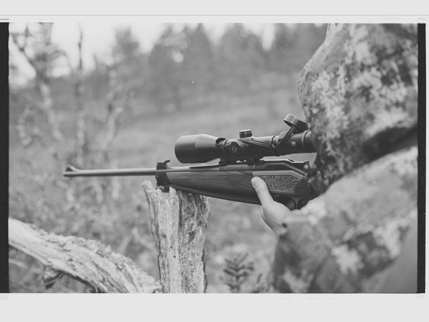 Blaser R8 Luxus Sondergravur – 10,3x60R – Zeiss Victory HT 3-12x56