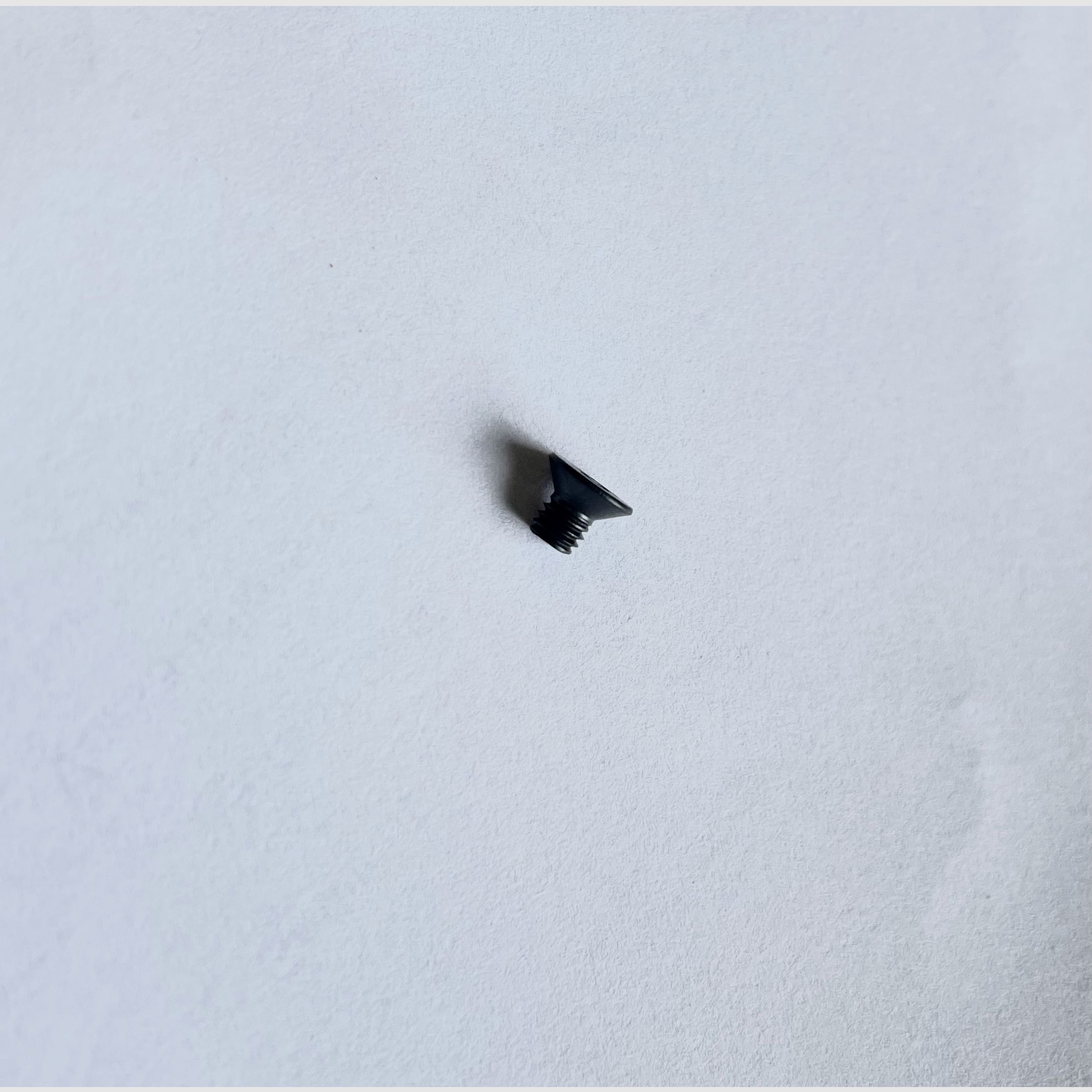 Walther 2846829 Countersunk screw M3X4 TX ISO 14581 A2 Black