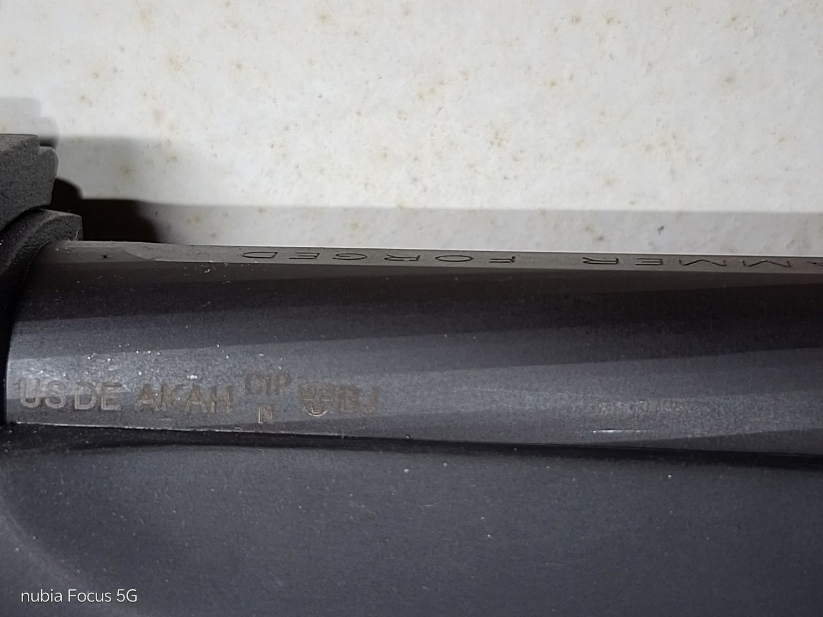 Ruger 10/22 