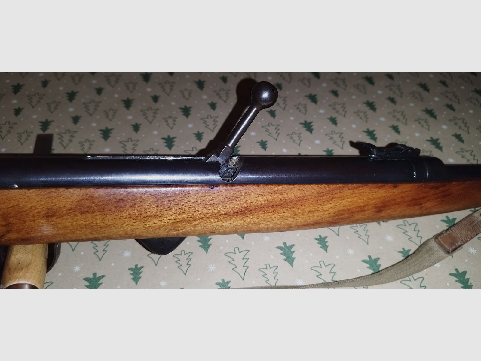 Wunderschöne Haenel 310 top Zustand