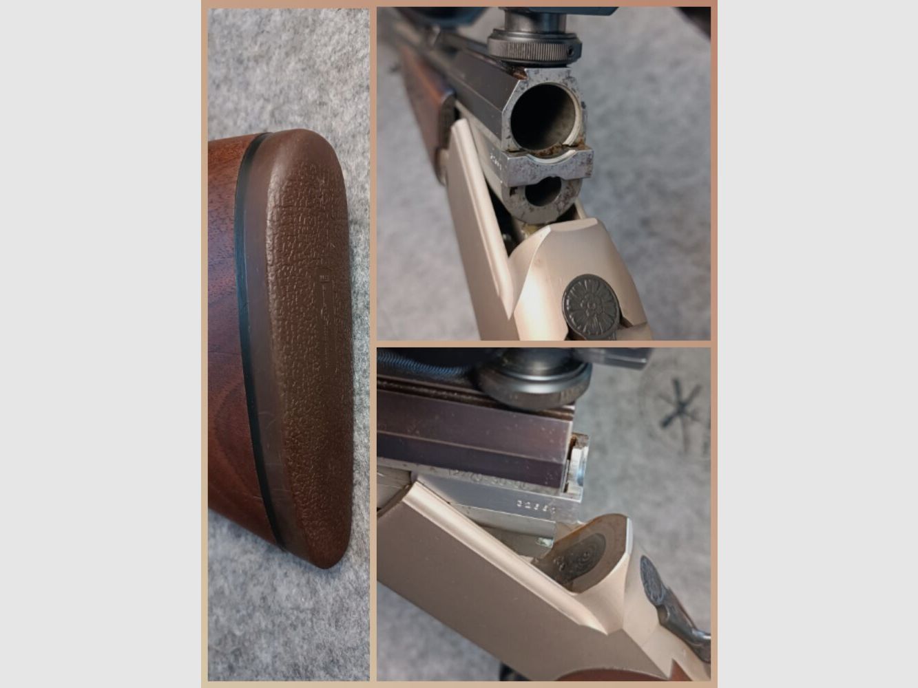 Blaser ES 80 mit Zielfernrohr Capra 2-12x50 Leuchtpunkt