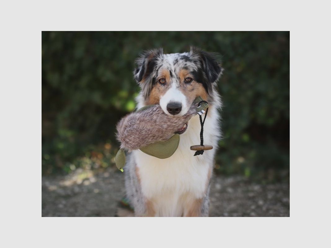 Farm-Land Dummy pour Chiens Canard avec Fourrure 300g, image 4 sur 4