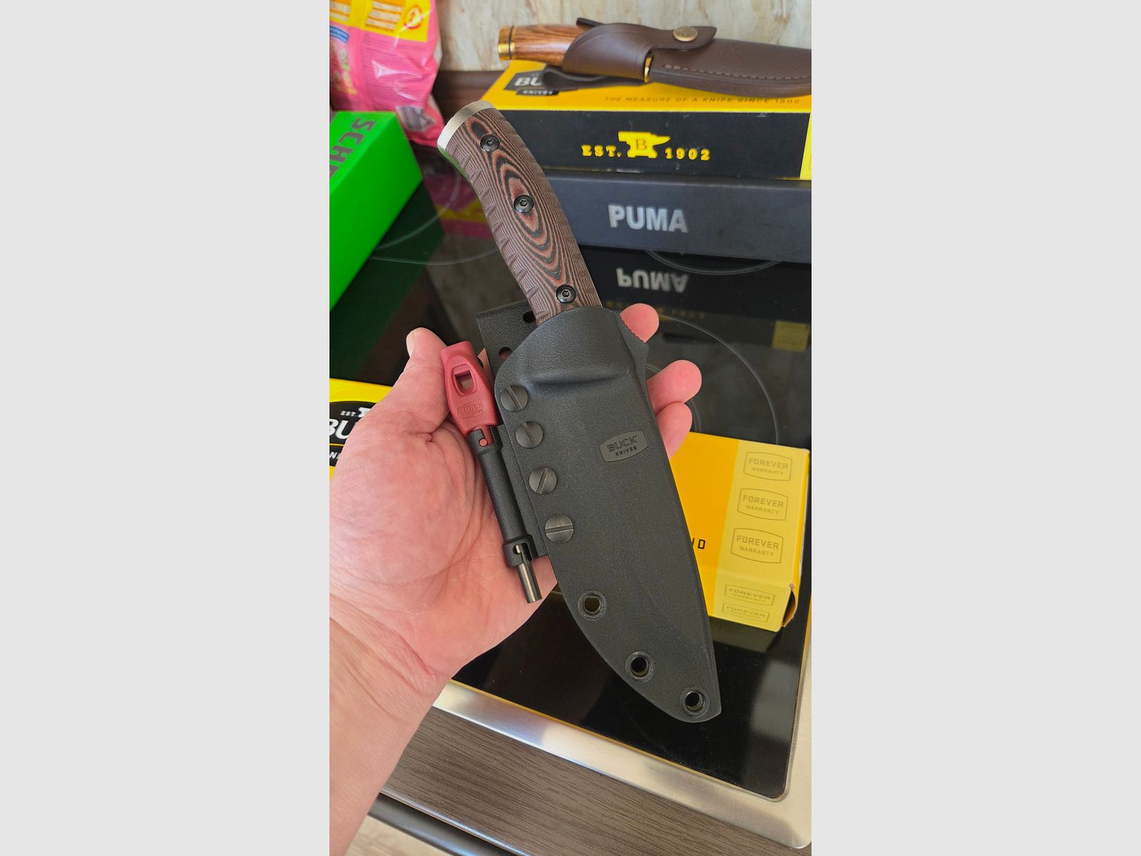 Couteaux de Buck avec silex