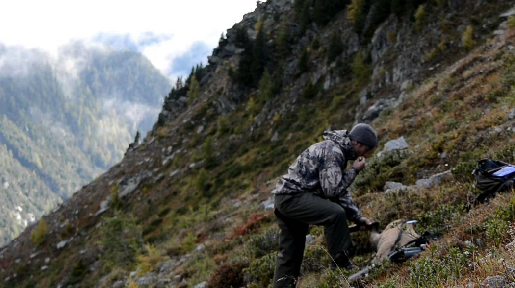 Chamois hunting in the alps - Pretot Hunting