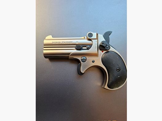 Beau Röhm Derringer, Noris Twinny