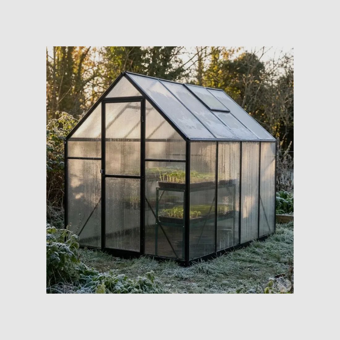 Gewächshaus aus Aluminium und Polycarbonat 6,2 m² - 350x177x192 cm, Bild 6 von 9