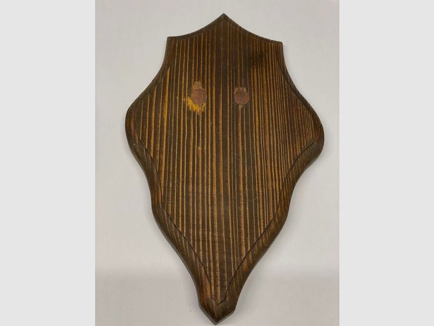 Wappenschilder für Rehtrophäen 22,5cmx13,5cm