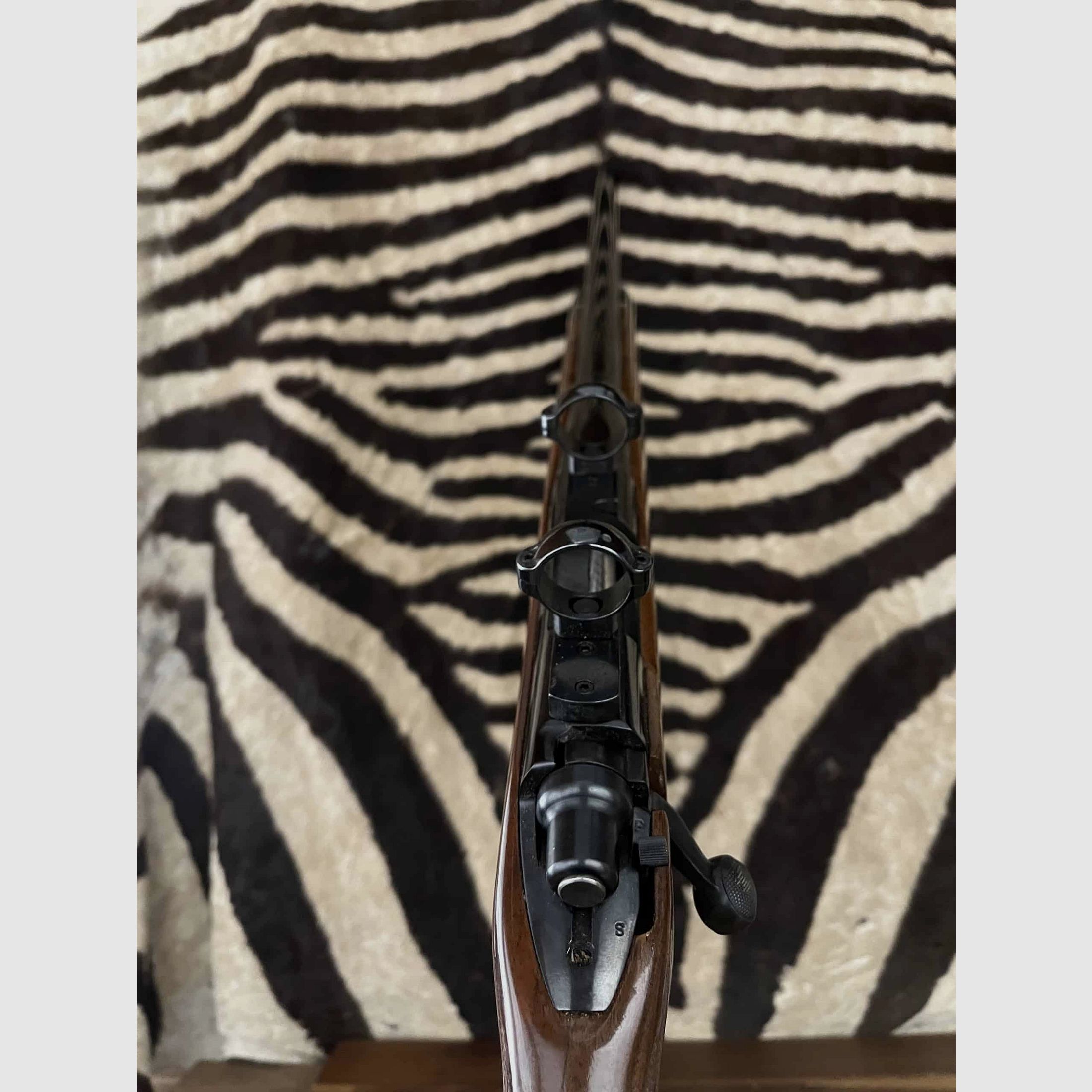 REMINGTON 700 Varmint 22-250 REM – ca.59cm montage collier, image 2 sur 10