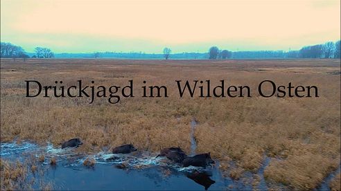 Drückjagd im Wilden Osten - Trailer