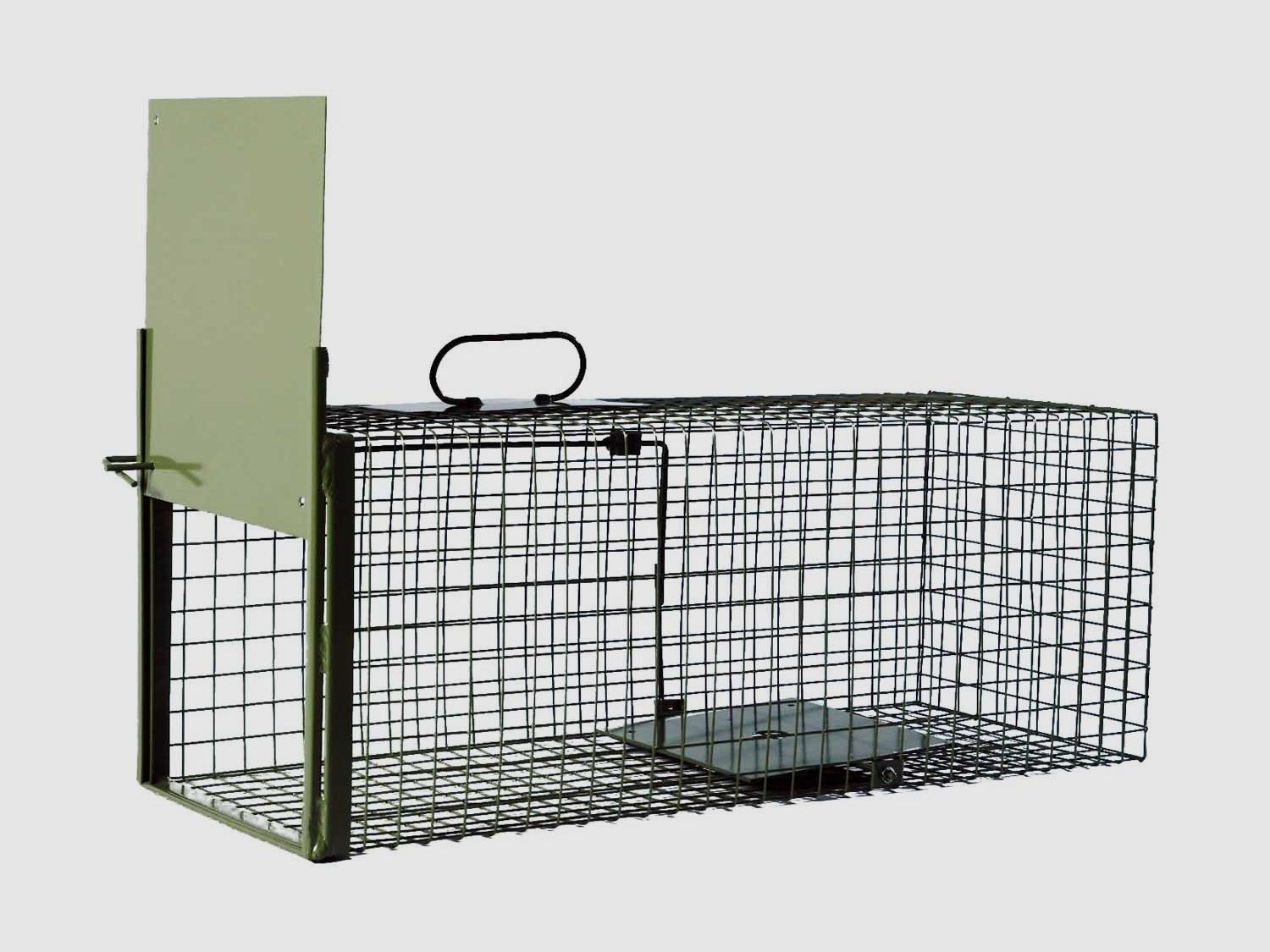 DAUTHvertrieb Lebendfangfalle Draht 1türig 74x28x28cm