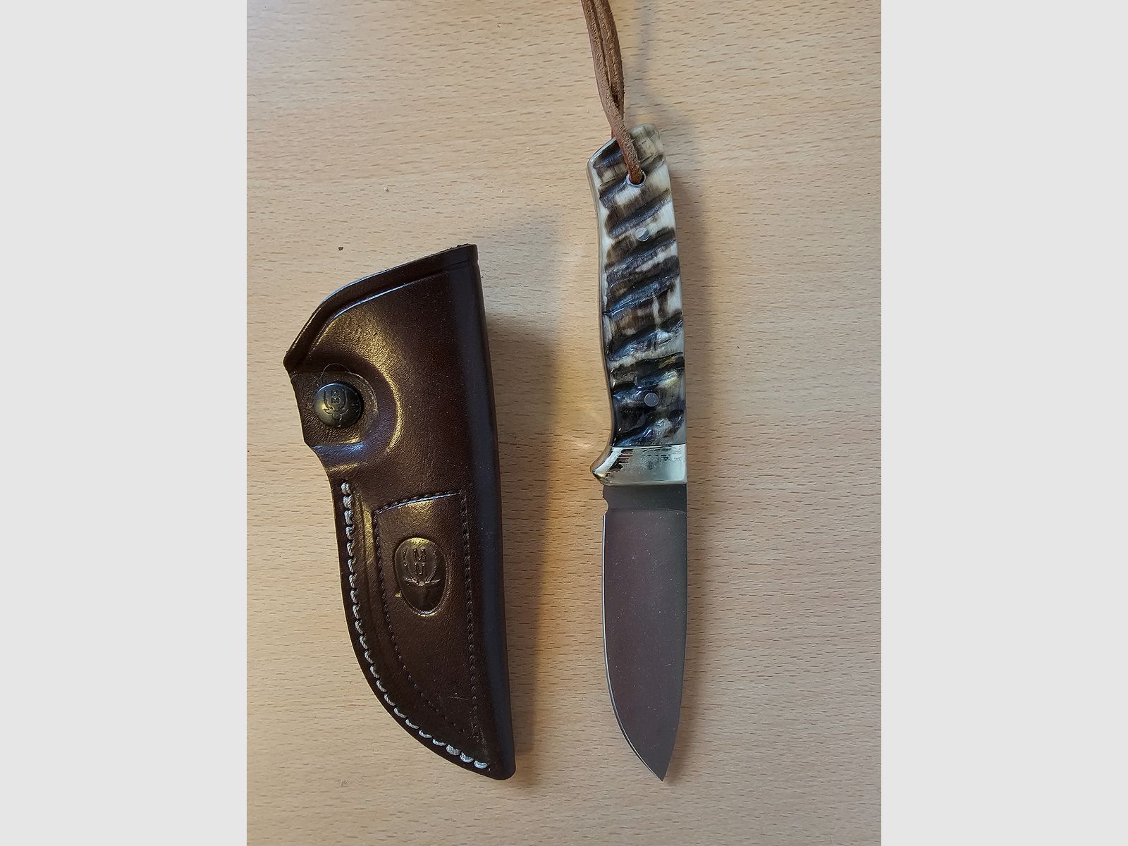 Jagdmesser MUELA Kodiak zu verkaufen.