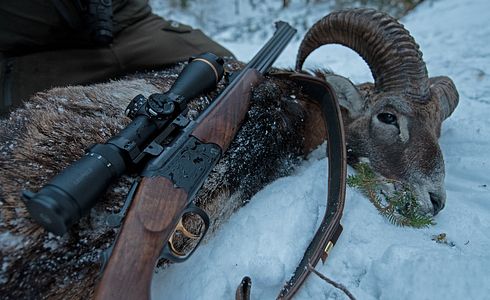 Bergstutzen - eine vielseitige Waffe für anspruchsvolle Jäger