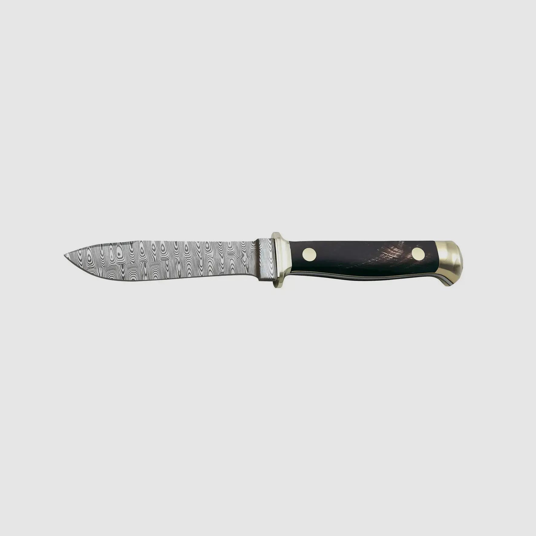 Cuchillo Anual PUMA 2025 Cuerno de Búfalo, imagen 3 de 7