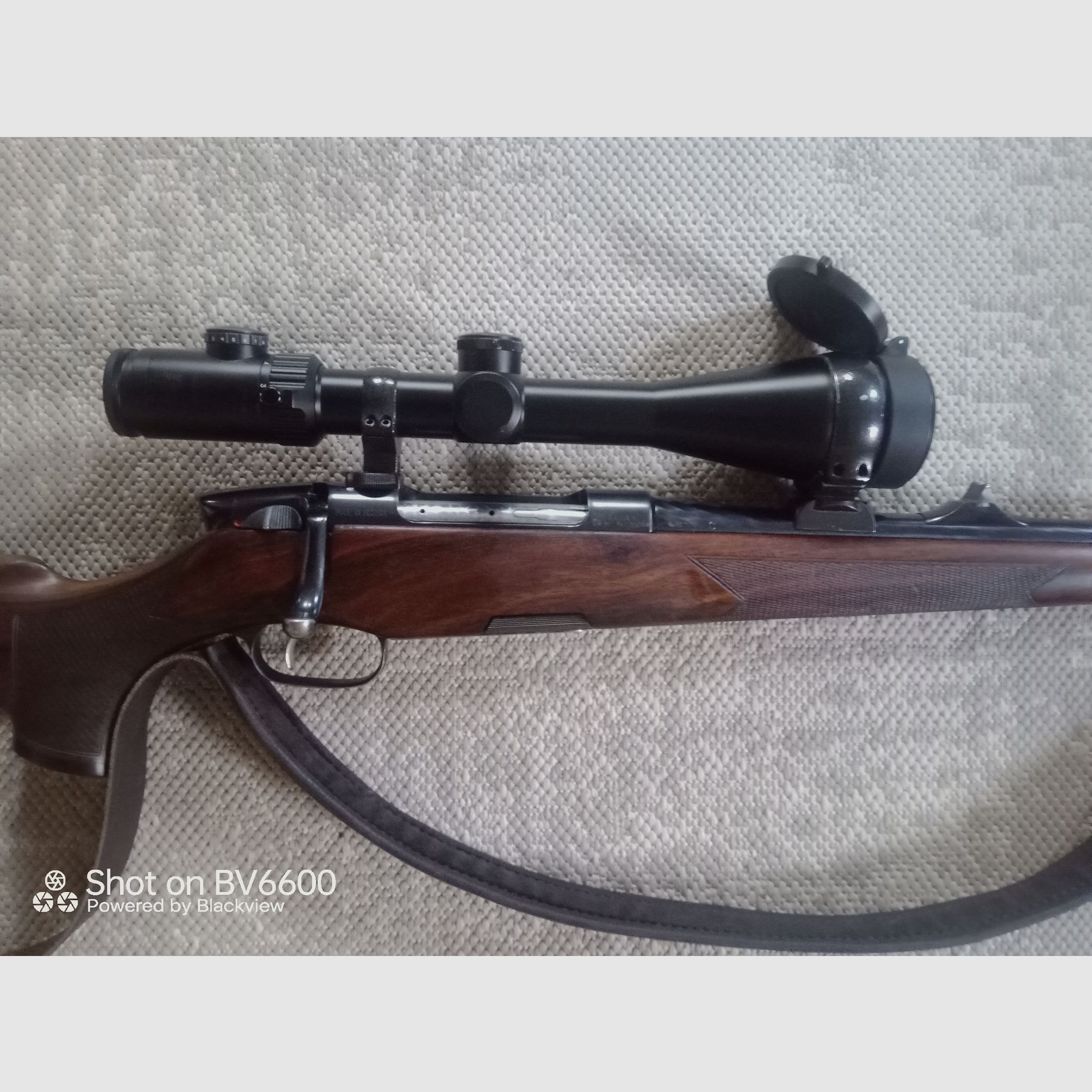 Steyr Mannlicher Luxus 30.06