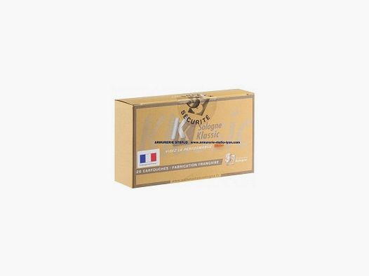 Sologne 257 Wby Mag Nosler Partition - 100 grs