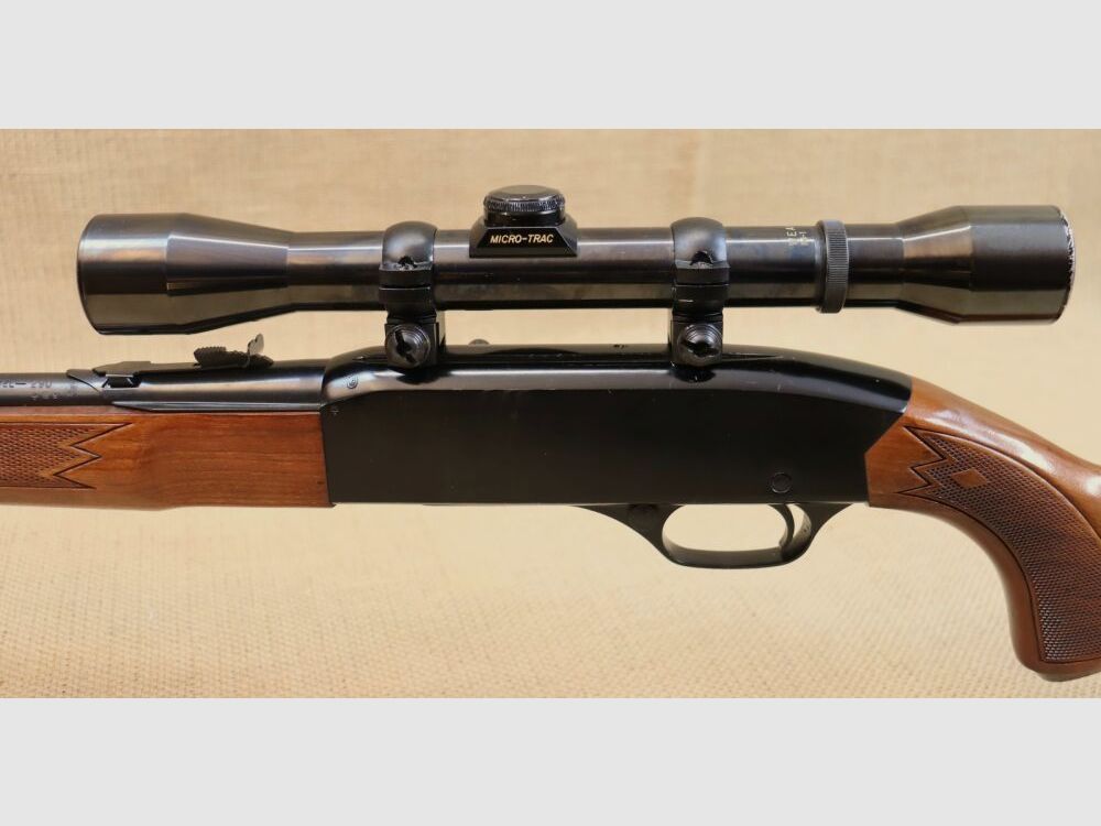 Fucile semiautomatico Winchester 290 .22lr