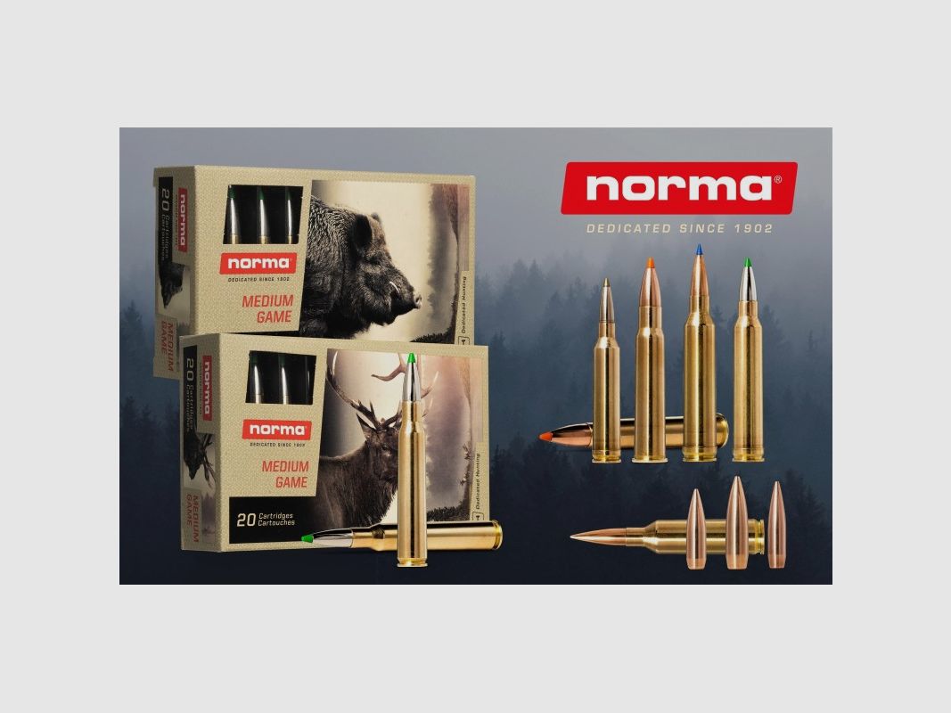 NORMA 7.5x55 Oryx 180 grs 11,6 Box mit 20 Schuss, Bild 1 von 2