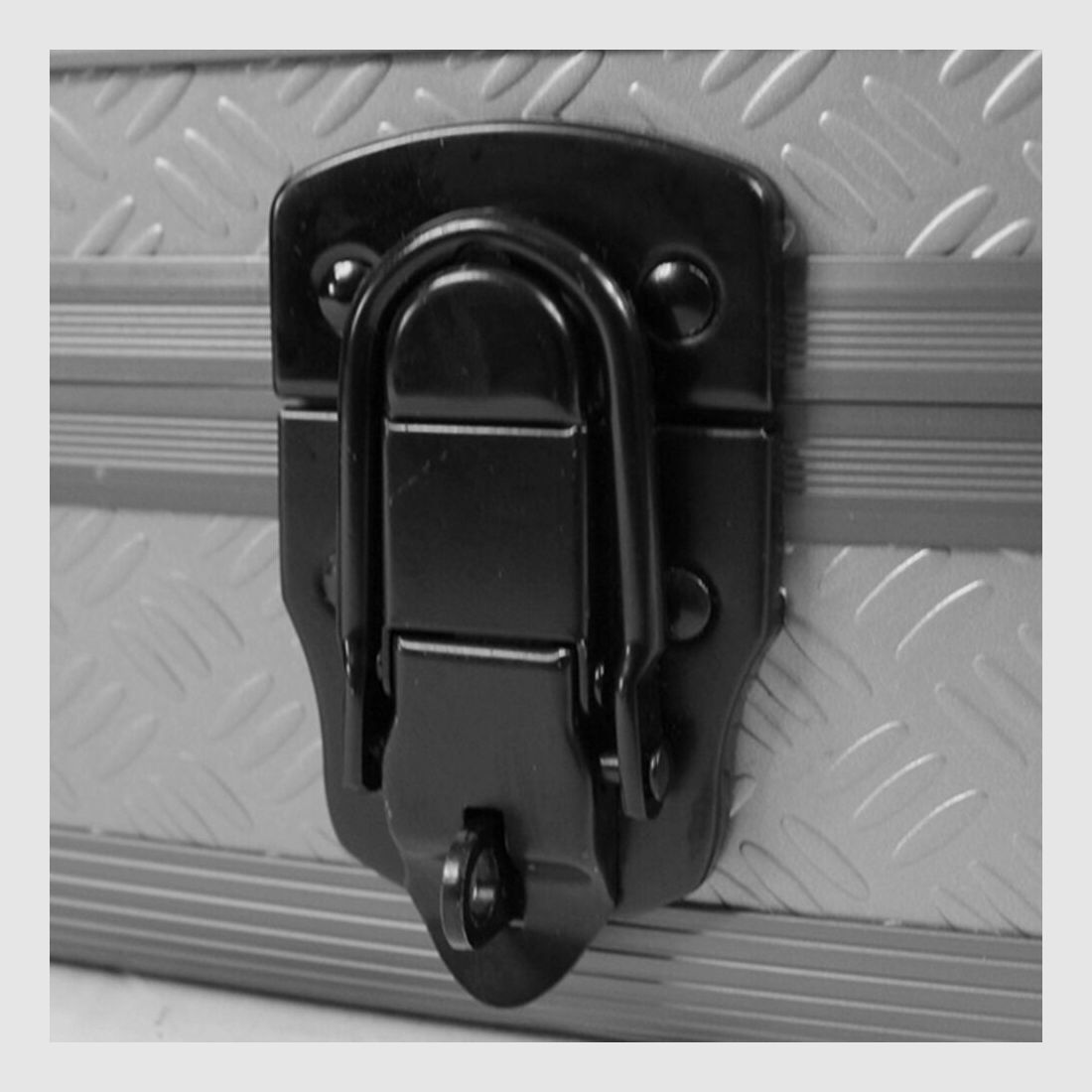 Birchwood Casey Étui en Aluminium Simple pour Fusil Gris