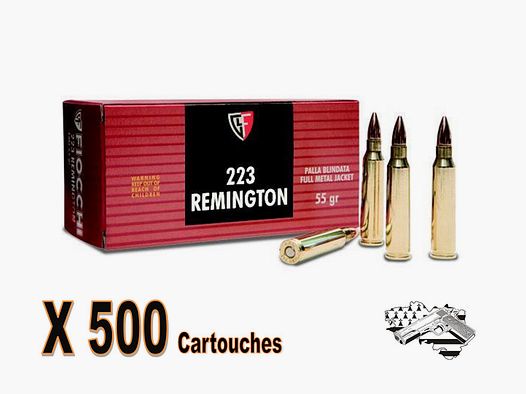 FIOCCHI Kal. .223 Rem – FMJ – 55 gr pro 500