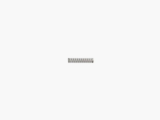 S&W BUFFER RETAINER SPRING