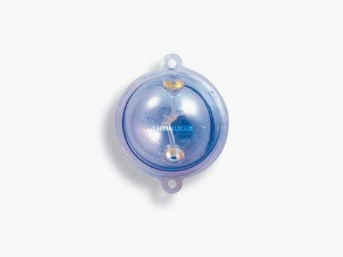 BULDO TRANSPARENT