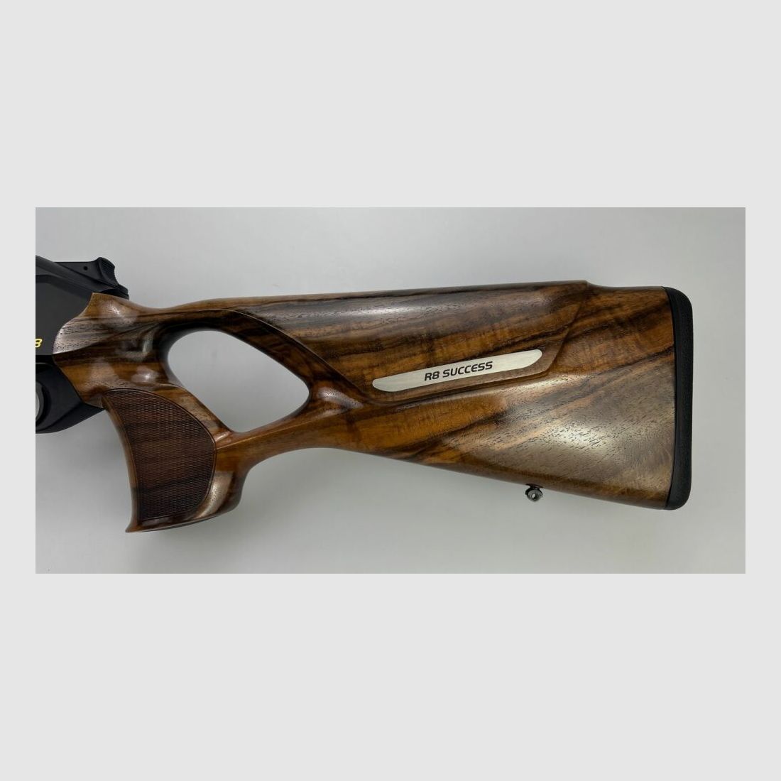Blaser R8 Success