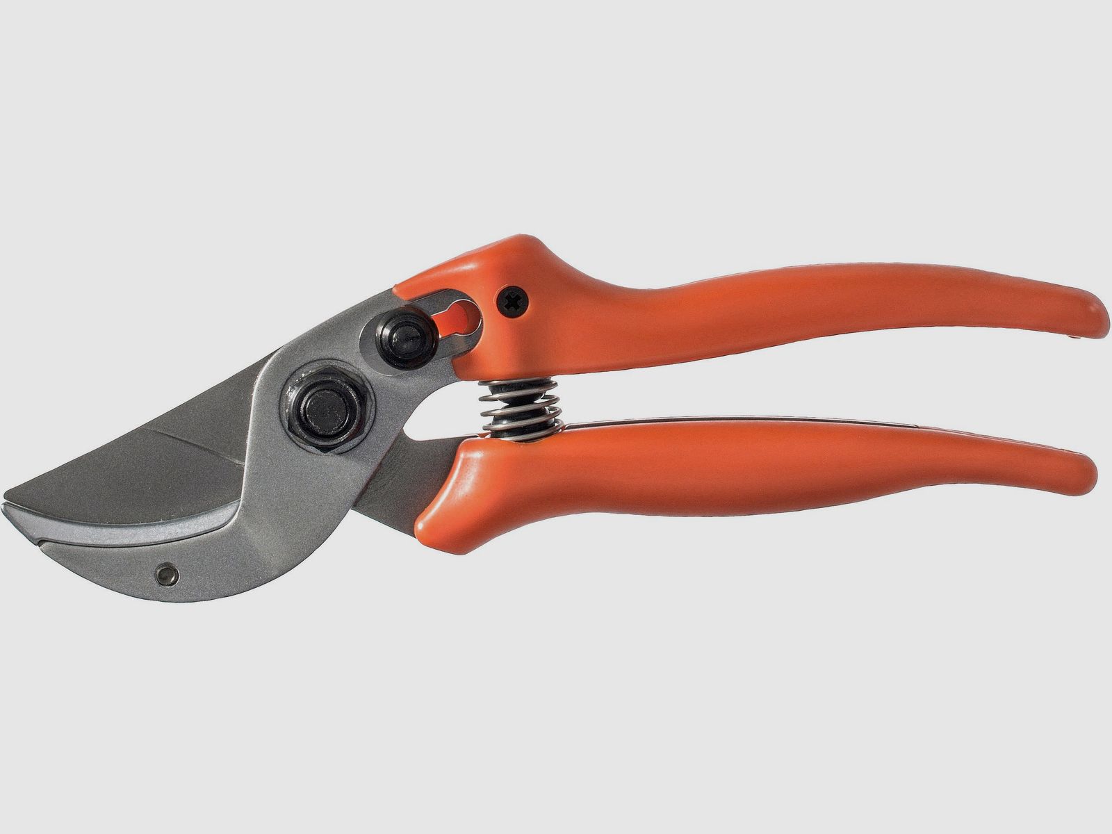 Lion hunting scissors 15.114