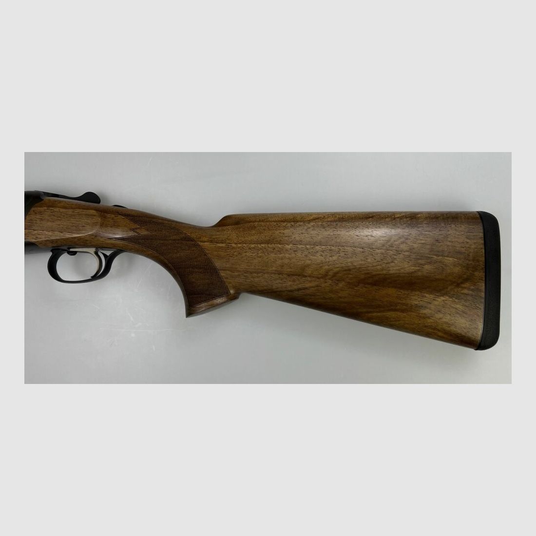 Blaser F16 Game
