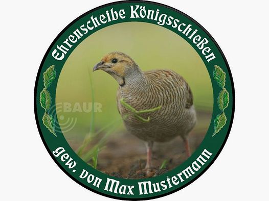 Schützenscheibe ECO-LINE Motiv 210