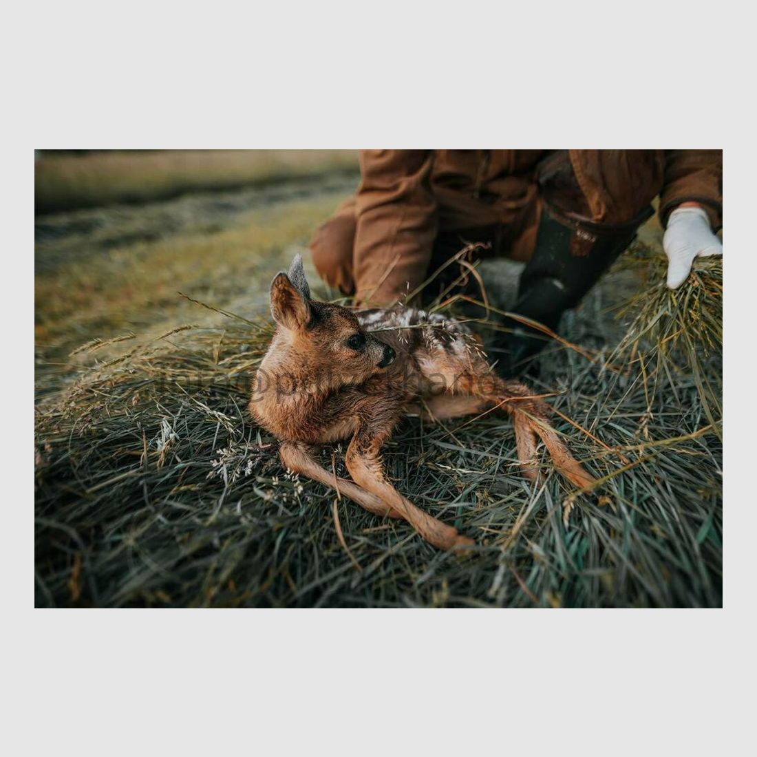 Dron Matrice 4 T DJI en maletín set completo NUEVO 60% de financiación posible DJI Matrice 4T (incl. 12 meses de DJI Care Enterprise Plus)