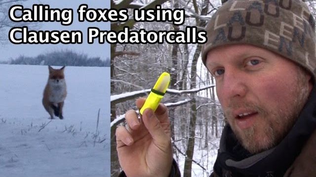 Clausen Predatorcalls  The ultimate foxcall!