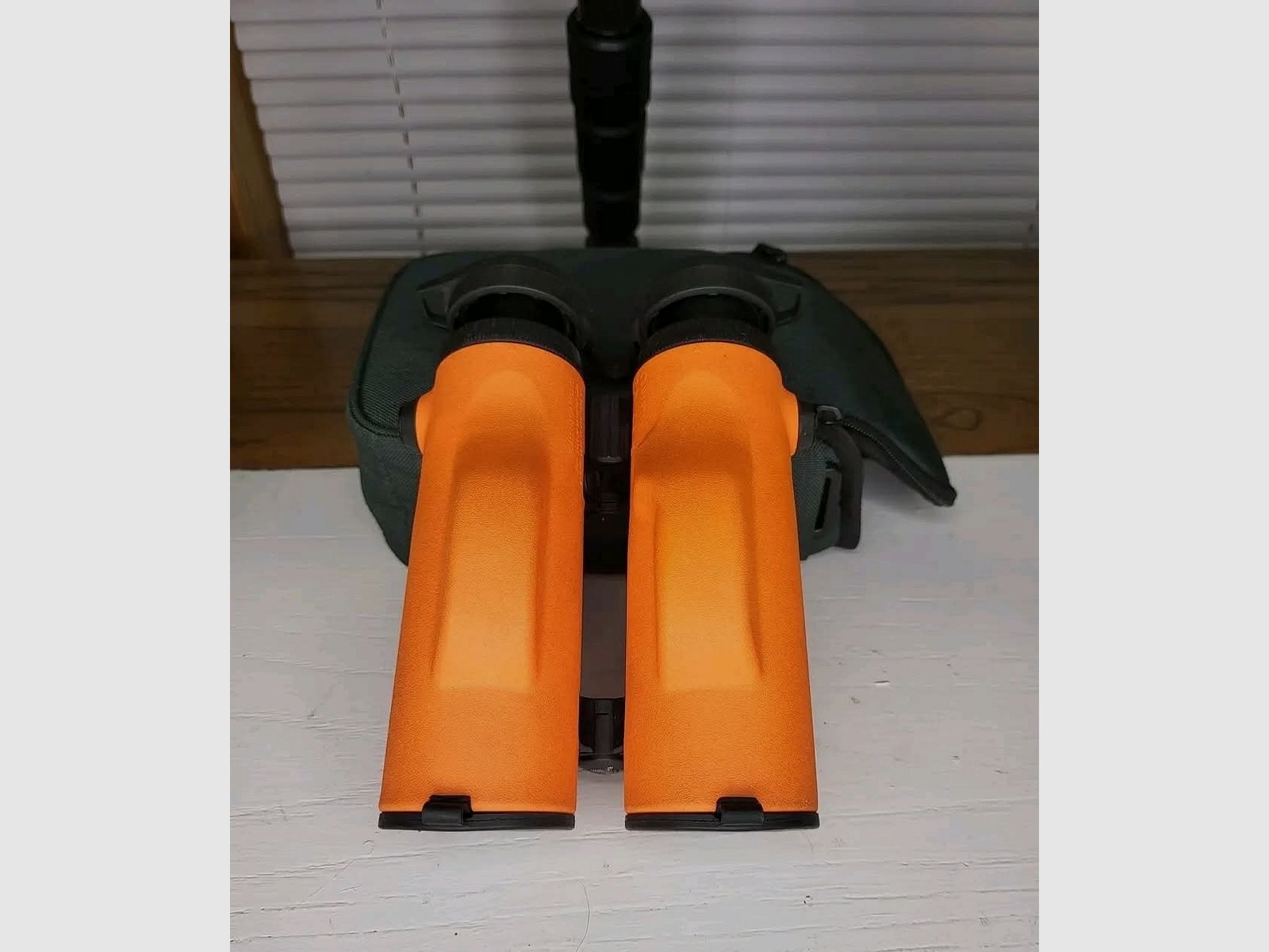 Swarovski EL Range 10x42