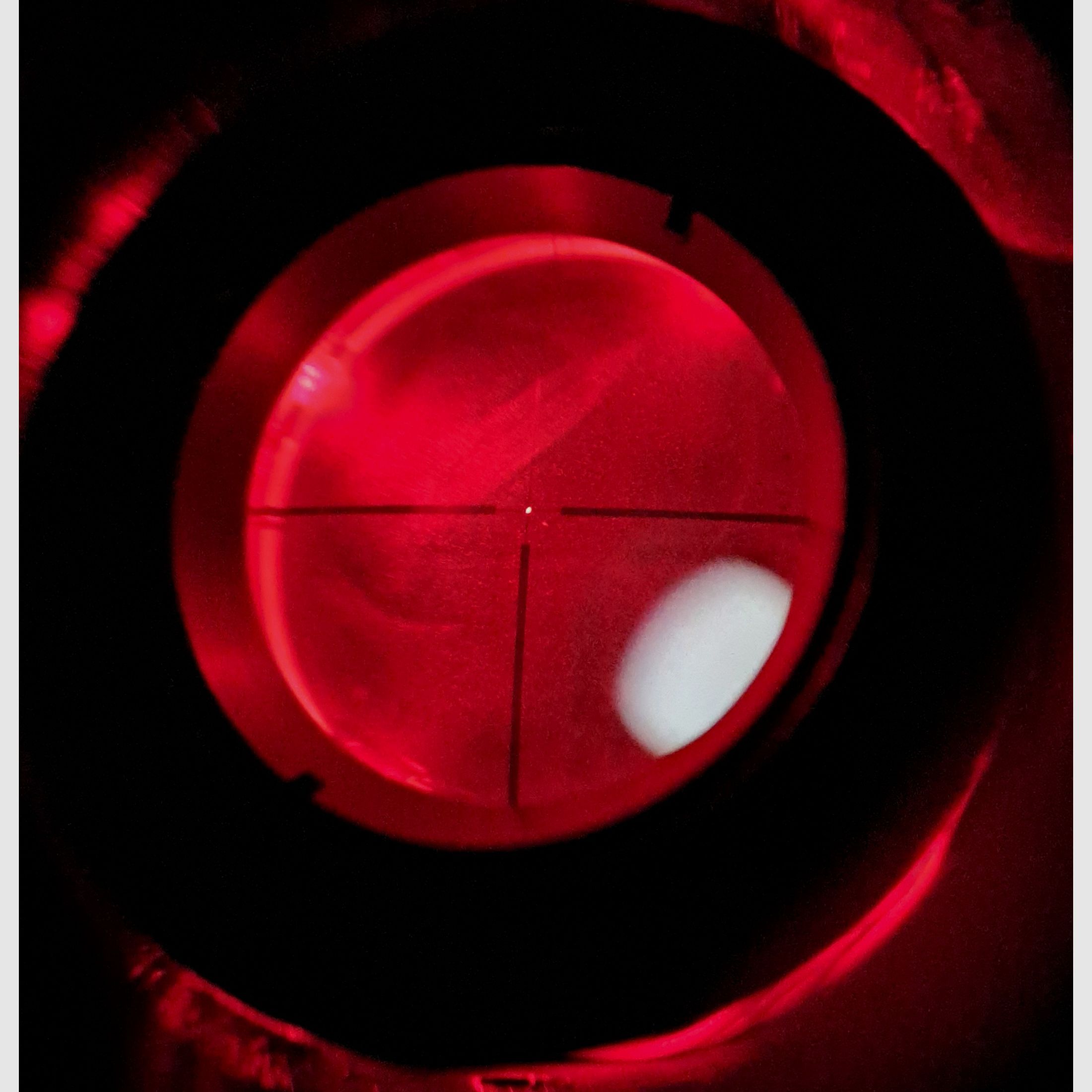 RWS ZF Supreme mit LP