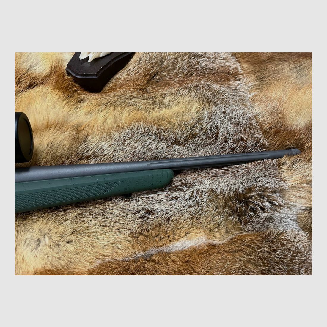 Tikka T3 Roughtech Verde