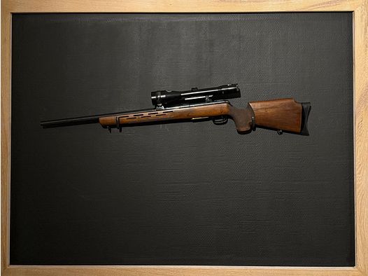 Match rifle: Krico 600 cal. 222 Rem. with Zeiss 2.5-10x52 - TOP condition