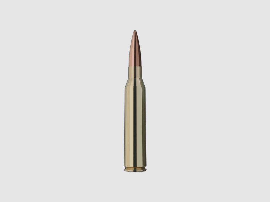 RWS .338 Lapua Mag. TARGET ELITE PLUS 19,4g/300gr, imagen 2 de 3